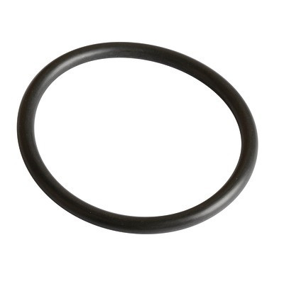 Joint R36 viton (capteur V97)- FRISQUET - 240134