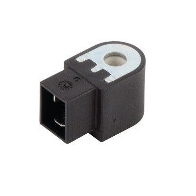 bobine g24- RIELLO - 3003594