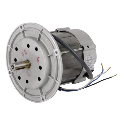 moteur rl rs 28 mono 220- RIELLO - 3003768