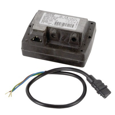 Transformer- RIELLO - 3003847