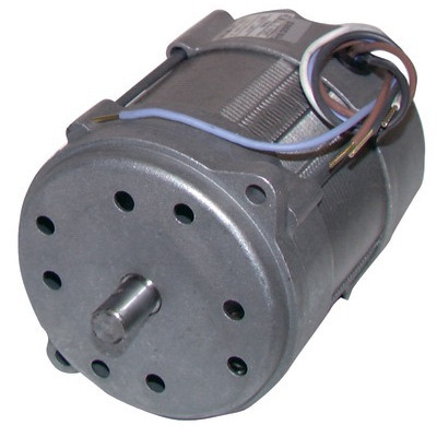 Moteur 150W p/15M/20M- RIELLO - 3005820