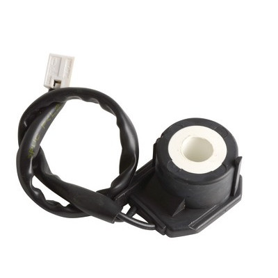 Bobina bomba- RIELLO - 3007481
