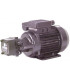 Grupo de trasiego baja presión GAPA J4 BP- DIFF - 309082
