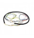 Cablage carte rfp5- SOLARONICS - 3510240