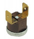 Overheat thermostat 100°C- FERROLI - 39805650
