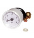 Screw fit pressure gauge DOMITOP- FERROLI - 39806330