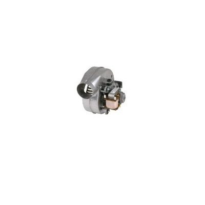 Extractor- FERROLI - 39811561