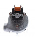 Ventilateur- FERROLI - 39817650