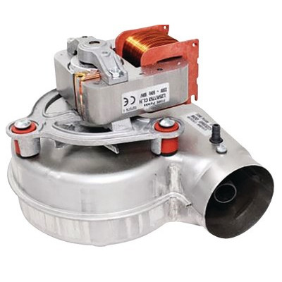 Extract newelite60/30 kw- FERROLI - 39818021