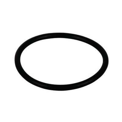 Gasket for tank trapdoor OASI 24- FERROLI - 39825210