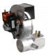 Extracteur fumée- RIELLO - 4050323