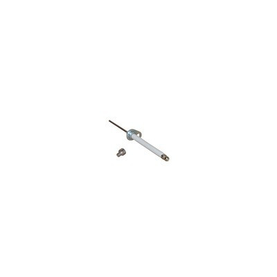 Sonde d'ionisation- DIFF pour De Dietrich Chappée - 97955659
