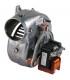 Fan assembly- RIELLO - 4364854