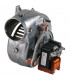 Fan assy- RIELLO - 4365341