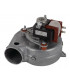 Ventilateur- RIELLO - 4365636