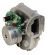Extracteur CONDEXA- RIELLO - 4365866