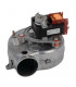 Ventilador- RIELLO - 4365964