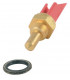 Sonde sanitaire- RIELLO - 4366451  - (X5)