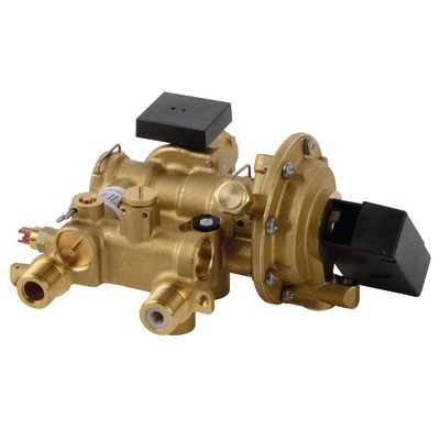 Brass DHW assembly- SIME - 5187396