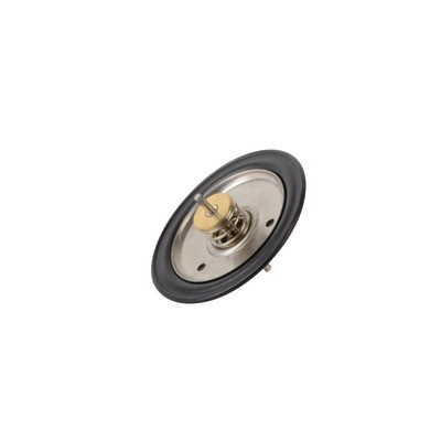 Membrana de silicona con by-pass sanitario- DIFF pour Immergas - 1.019272