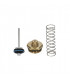 Kit pressostat sanitaire- CHAFFOTEAUX - 571442