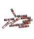 Fuse 2A 250V- CHAFFOTEAUX - 60054442  - (X10)