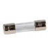 Fuse 250V 2A- CHAFFOTEAUX - 61003456  - (X10)