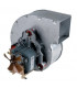 Extracteur- CHAFFOTEAUX - 61010212