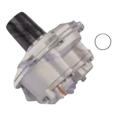 Vanne gaz- CHAFFOTEAUX - 61400319