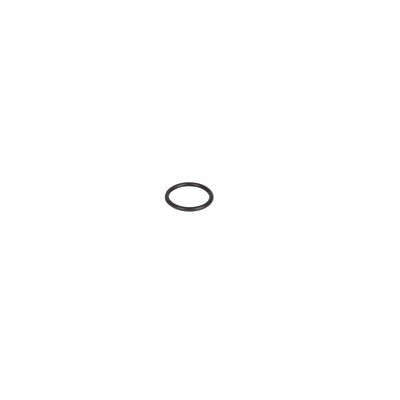 O-ring 21.89x2.62- CHAFFOTEAUX - 65104320