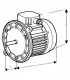 Nema ventilated single-phased 2 flange standard motor- DIFF - 702052
