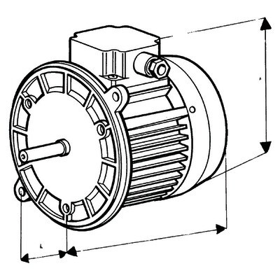 Nema ventilated single-phased 2 flange standard motor- DIFF - 702052