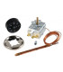 Aquastat régulation à bulbe type AB 150- DIFF - 703432