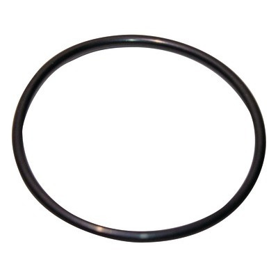 O-ring 120.02x6.99-n- GEMINOX - 87185725380