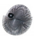 Hérisson steel round roller brush with ball Ø250mm- DIFF - 904293