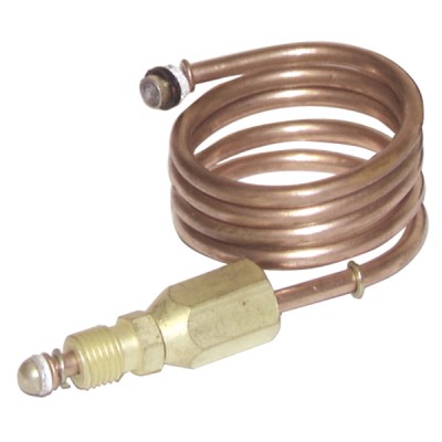 Thermocouple extension (lgth 600mm -fitting M9 x F9) - SIT : 0 218 101