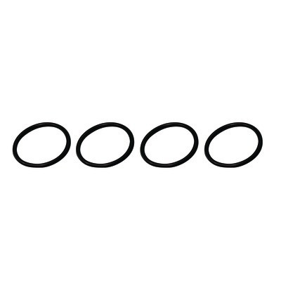 Inlet/outlet O-ring 3/4"- SENTINEL - 908216  - (X25)