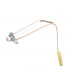 Electrodo ionización- CHAFFOTEAUX - 998624