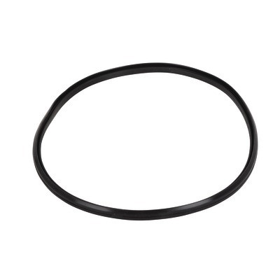 Gasket - lip- BIASI - BI1293108