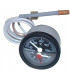 Thermomanomètre + joint (B)- FRISQUET - F3AA40085