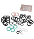 O-rings kit - after 2000- FRISQUET - F3AA40541