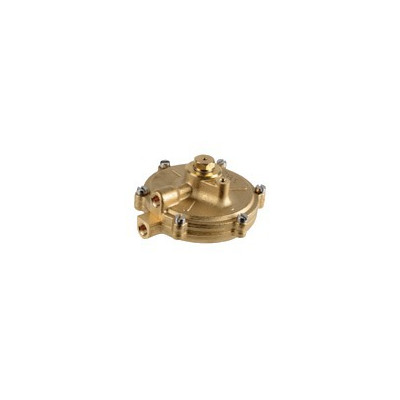 Pressure gauge for domestic hot water- DE DIETRICH CHAPPEE - JJJ005629950