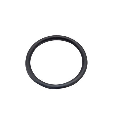 Guarniz.or 2,62x15,88 epdm- BIASI - KI1042110  - (X10)
