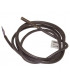 Cabled probe- SIEMENS - QAP21.3