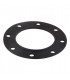 Junta para brida (1.COM01.011)- CHAPPEE - S19000022