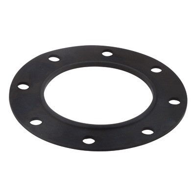Junta para brida (1.COM01.011)- CHAPPEE - S19000022