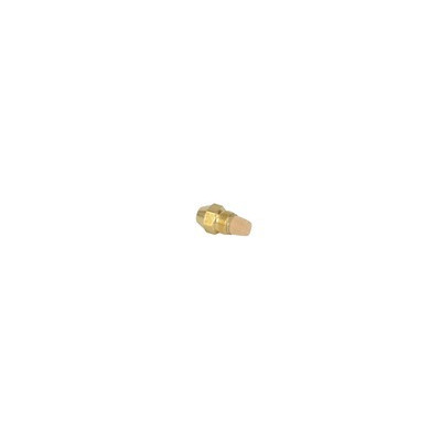 Gicl.delavan 0,50g 60°ct e(bf)- DE DIETRICH CHAPPEE - S50032799