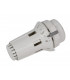 Tête thermostatique RAW 5014- DANFOSS - 013G5014