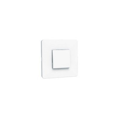 Pushbutton for electric control (230V or with batteries)- ANJOS - 1790