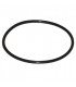 Sonda CTN- DIFF pour Frisquet - F3AA40946